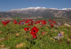 images/gallery/whycrete/crete11.jpg